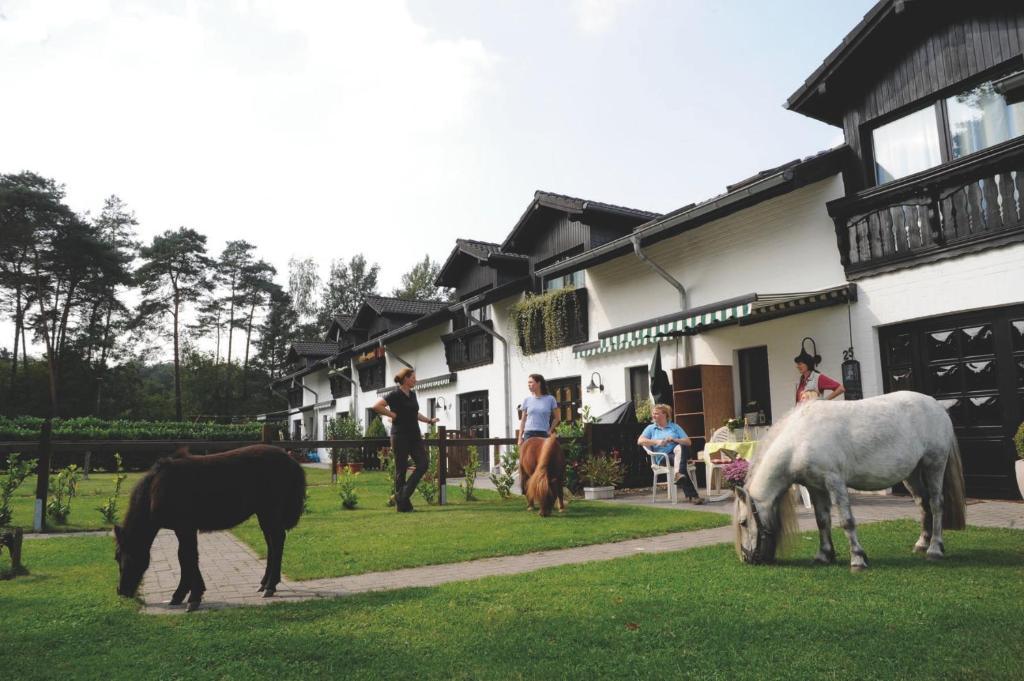 Landhotel Linden Am Venekotensee Niederkrüchten Dış mekan fotoğraf