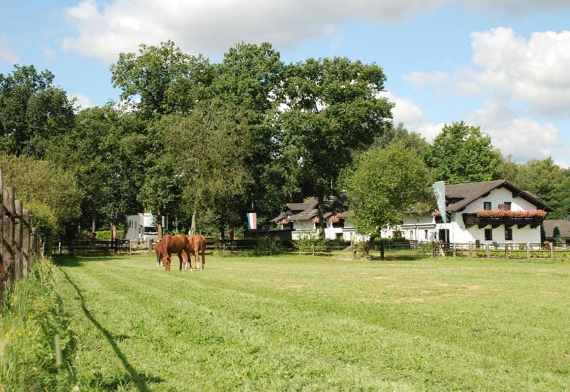 Landhotel Linden Am Venekotensee Niederkrüchten Dış mekan fotoğraf