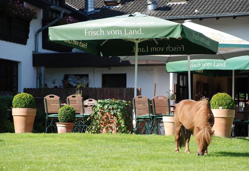Landhotel Linden Am Venekotensee Niederkrüchten Dış mekan fotoğraf